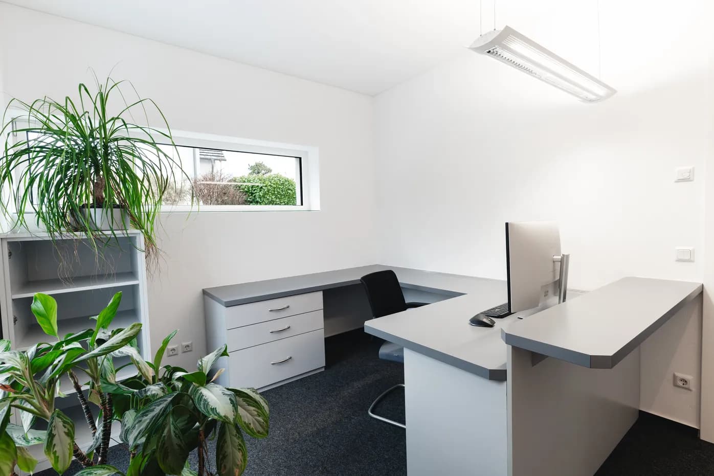 Helles Einzelbüro mit Pflanzen am Entegra Standort